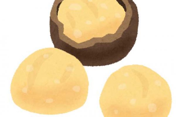 マカダミアナッツの激安通販