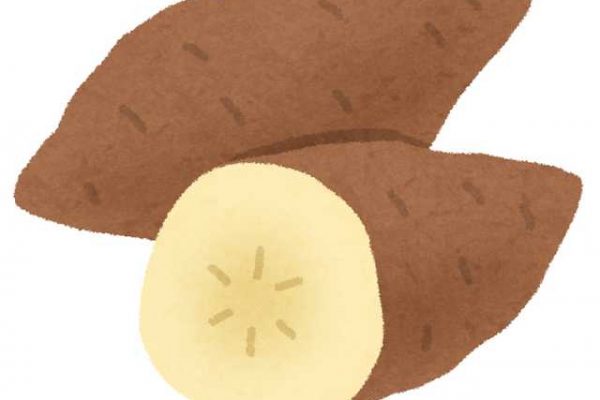 ヤーコンの激安通販